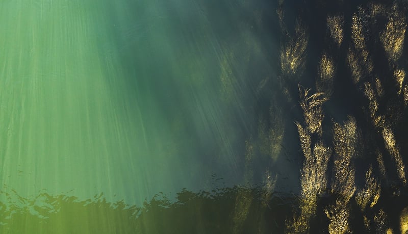 Underwater Kingdoms